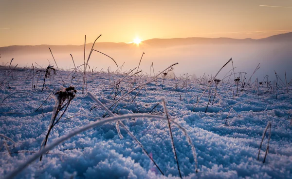 凍土の日没 — ストック写真