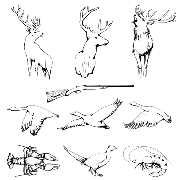 Colección de animales salvajes dibujados — Foto de Stock