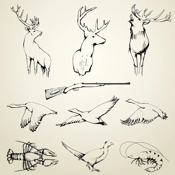 Colección de animales salvajes dibujados — Vector de stock