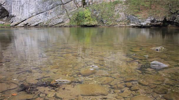 Чистая мелководная река со скалами — стоковое видео