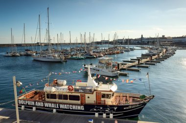 Azor, sao miguel yat ve balıkçı limanı
