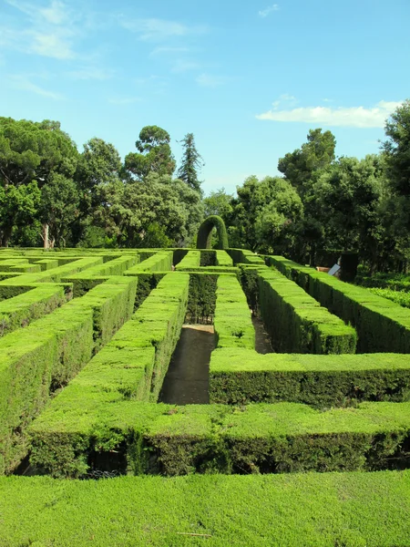 Rasenlabyrinth — Stockfoto