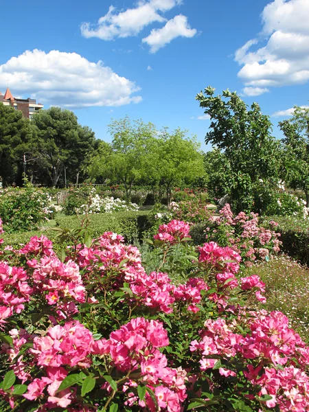 Park