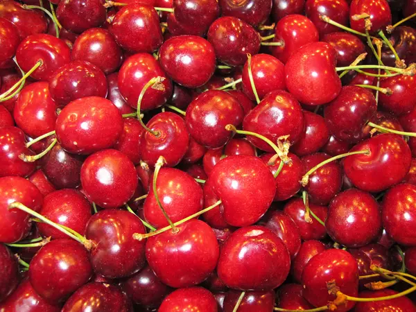 Cherries Stock Image