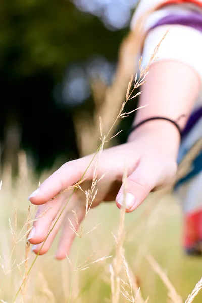 Hand in nature — Stock Photo, Image