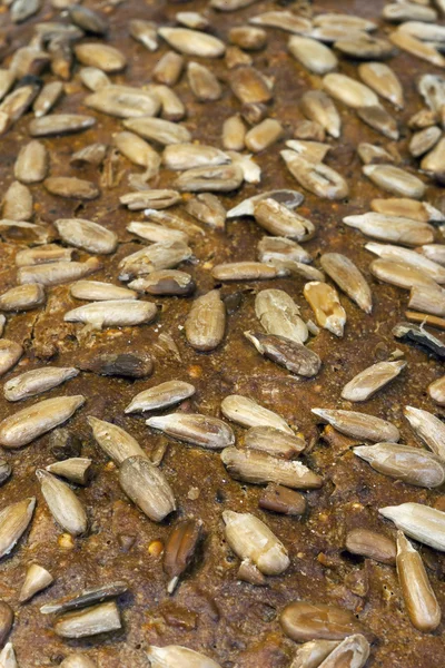 Sunflower seeds topping bread closeup — Stock Photo, Image