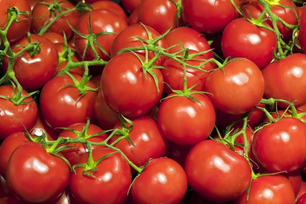 新鲜成熟的樱桃番茄 图库照片