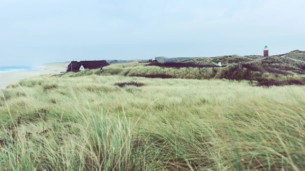 View across coastal dunes — Stock Photo, Image