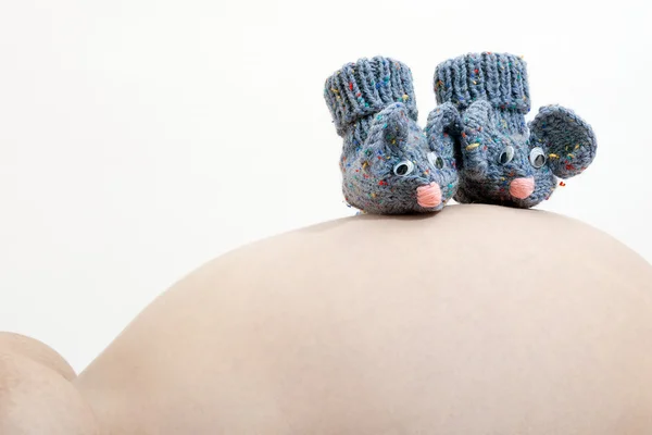 Bonito pequeno mouse botas em uma barriga grávida — Fotografia de Stock