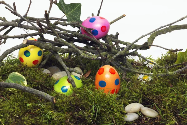 Uova di Pasqua decorate nascoste per la caccia — Foto Stock