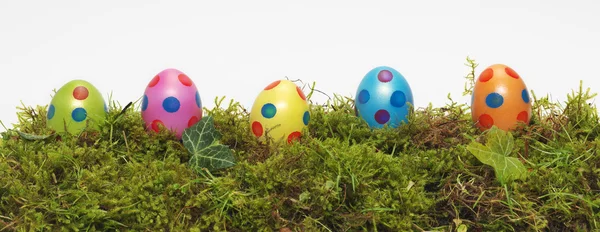 復活祭の卵のパノラマ バナー — ストック写真