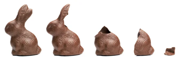 Schokolade Osterhasen essen Sequenz Stockbild