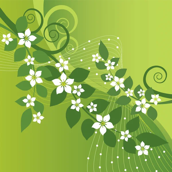 Bellissimi fiori di gelsomino e turbinii verdi su sfondo verde — Vettoriale Stock