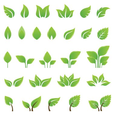 Set of green leaves design elements