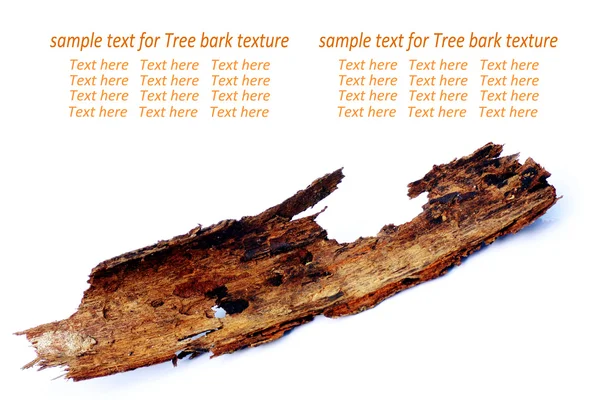 Corteccia d'albero — Foto Stock