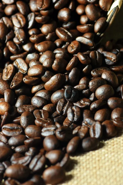 Coffee — Stock Photo, Image