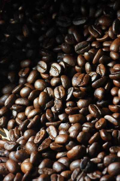 Coffee — Stock Photo, Image