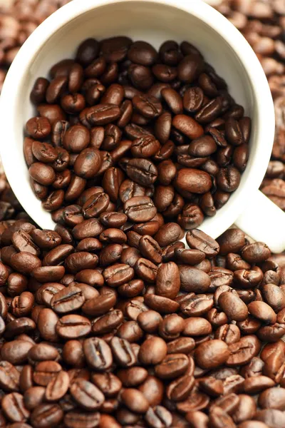 Kaffe — Stockfoto