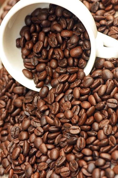 Kaffe — Stockfoto