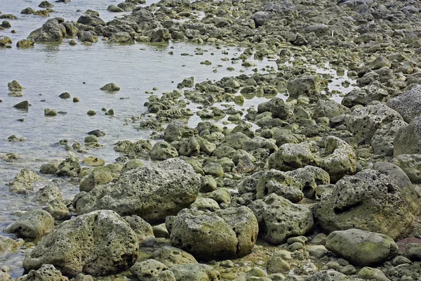 島サムイ島タイ — ストック写真