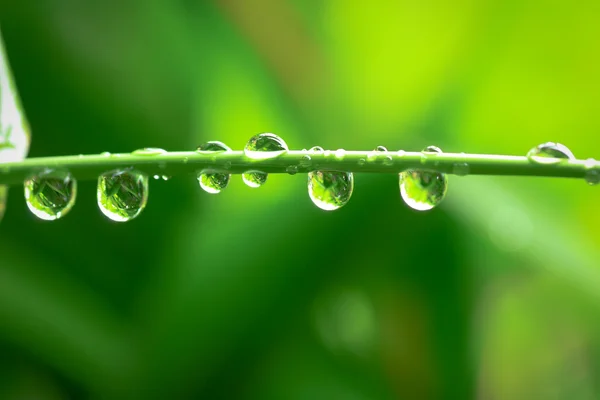 Gotas de orvalho de água — Fotografia de Stock