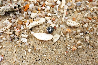 Çakıl taşı arka planı.