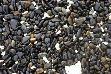 koh hin ngam satun ilinde Tayland, renkli çakıl yığını.