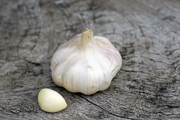 Bio-Knoblauch — Stockfoto