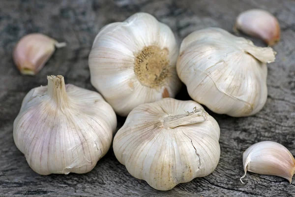 Bio-Knoblauch — Stockfoto