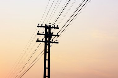 elektrik direkleri