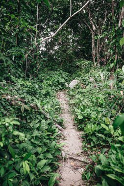 Hiking trails around Koh Mun Nork