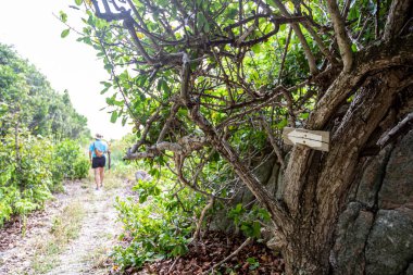 Hiking trails around Koh Mun Nork