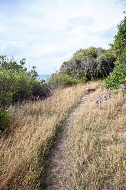 Hiking trails around Koh Mun Nork
