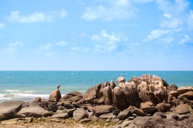 Tayland, Rayong 'daki Koh Mun Nok plajı.