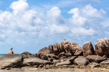 Tayland, Rayong 'daki Koh Mun Nok plajı.