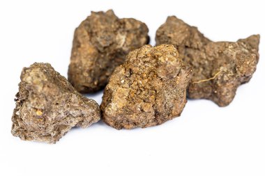 toprak yakın çekim - arka plan olarak kullanılabilir