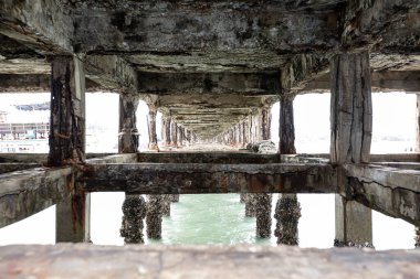 under the pier by the sea