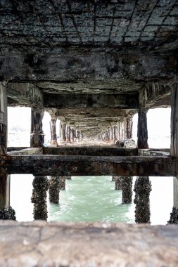 under the pier by the sea