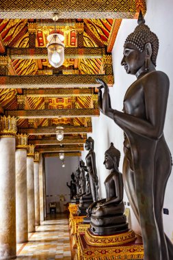 Buda heykeli Budist peygamberlerin saygı göstermek için kullandıkları bir semboldür..