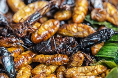 Kızarmış böcekler, böcekler sokak gıda Tayland kızarmış