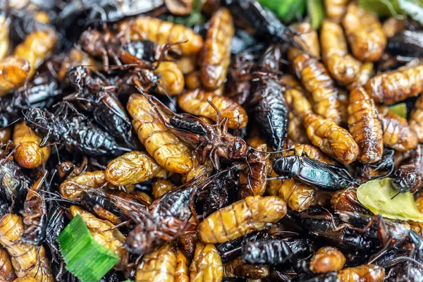 タイの屋台で揚げ昆虫 バグ揚げ — ストック写真