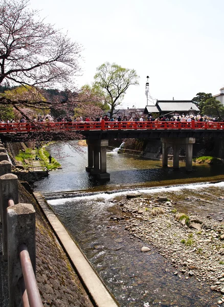 Takayama rote brücke zur festzeit mit sakura — Stockfoto