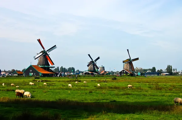 Holandské větrné mlýny Nizozemska — Stock fotografie