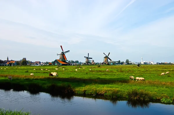 Holland holland szélmalmok — Stock Fotó