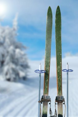 cross country kayak güneşli kış gününde