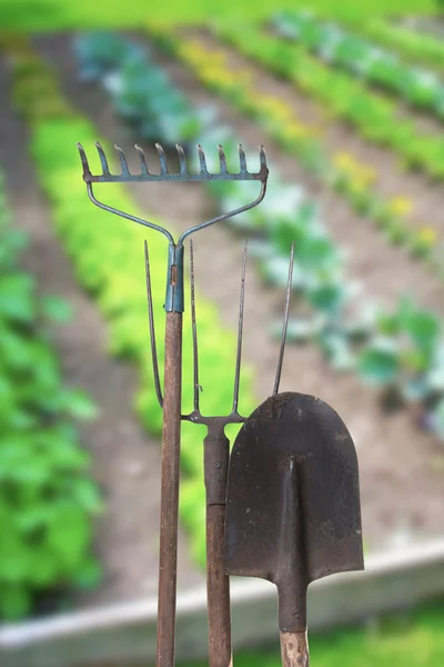 Outils de jardinage — Photo