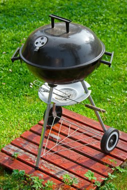 mangal yeşil çimenlerin üzerinde