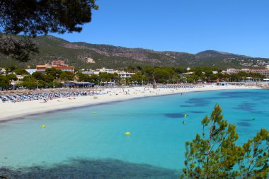 güzel palma nova beach mallorca Balear Adaları