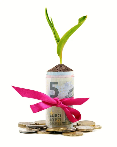Plant growing out of money roll isolated on white — Stock Photo, Image