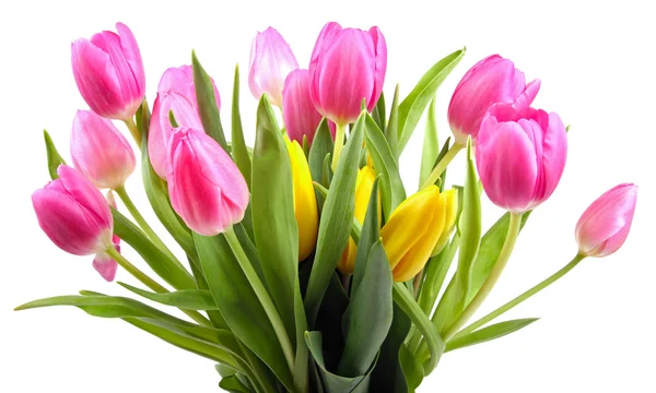 Bouquet of tulips isolated on white — Stock Photo, Image